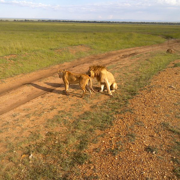 Maasai Mara Game Reserve